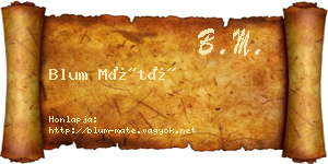 Blum Máté névjegykártya