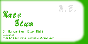 mate blum business card