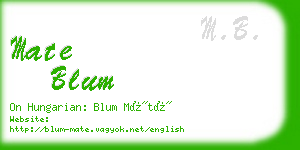 mate blum business card